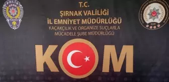 Şırnak'ta Kaçakçılık Operasyonunda 44 Şüpheli Yakalandı