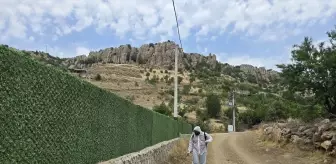 Şırnak'ta Çekirge İlaçlaması: 700 Dekar Alanda Çalışmalar Başlatıldı