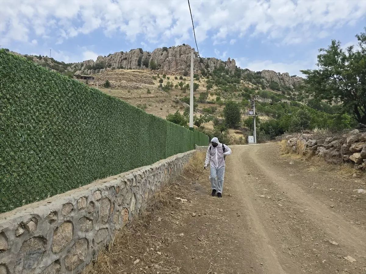 Şırnak'ta Çekirge İlaçlaması: 700 Dekar Alanda Çalışmalar Başlatıldı