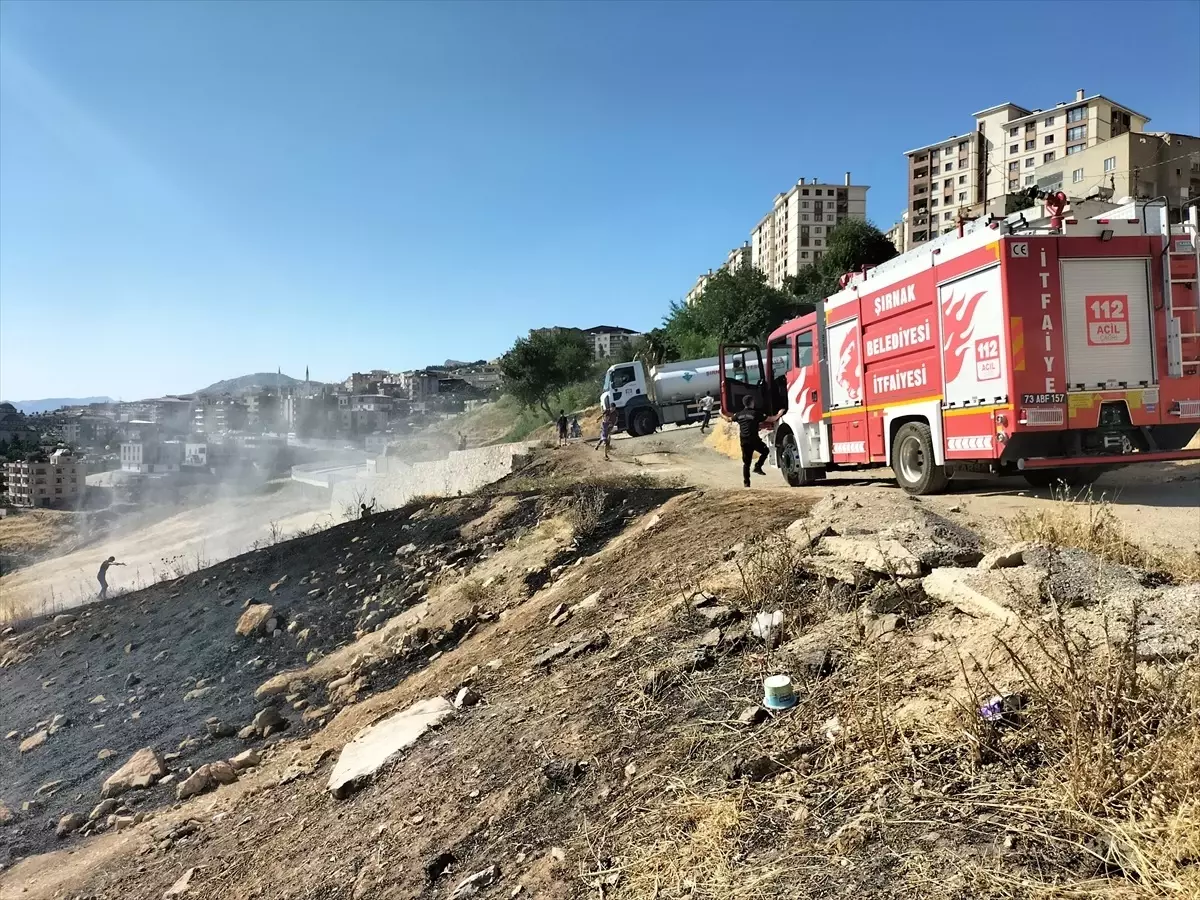 Cizre'de Anız Yangını Kısa Sürede Söndürüldü