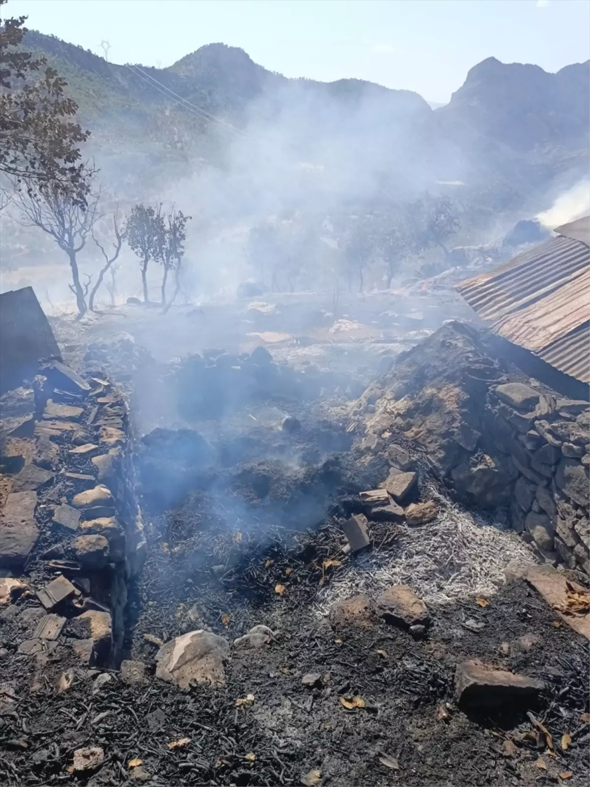 Şırnak'ta Samanlık ve Ahırda Yangın Çıktı