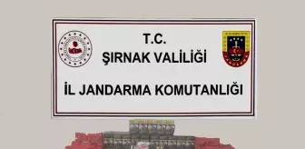 Şırnak'ta Kaçakçılık Operasyonu: 13 Gözaltı