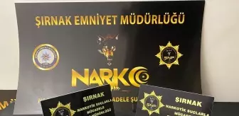 Şırnak'ta Kaçakçılık Operasyonu: 33 Şüpheli Yakalandı, 2'si Tutuklandı