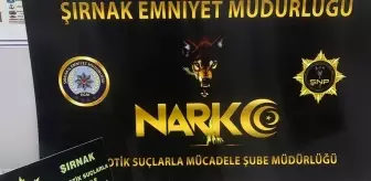 Şırnak'ta Kaçakçılık Operasyonu: 42 Gözaltı, 2 Tutuklama