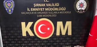 Şırnak'ta Kaçakçılık Operasyonları: 35 Şüpheli Hakkında İşlem Yapıldı