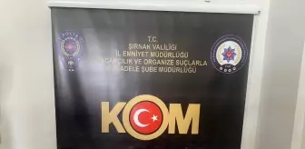 Şırnak'ta Kaçakçılık Operasyonu: 68 Şüpheli Hakkında İşlem Yapıldı