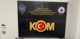 Şırnak'ta Kaçakçılık Operasyonu: 33 Gözaltı, 1 Tutuklama