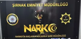 Şırnak'ta Kaçakçılık Operasyonunda 35 Şüpheli Gözaltına Alındı
