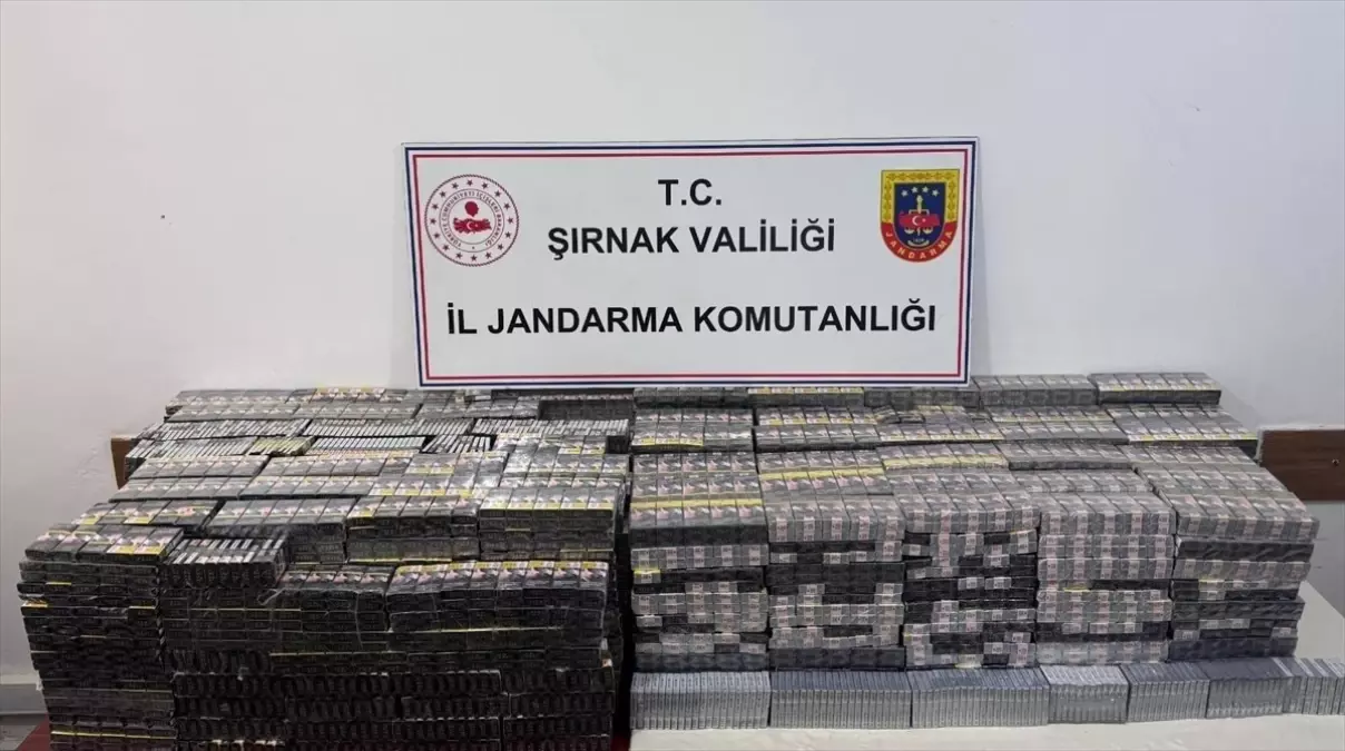 Şırnak'ta Kaçakçılık Operasyonunda 26 Kişi Yakalandı