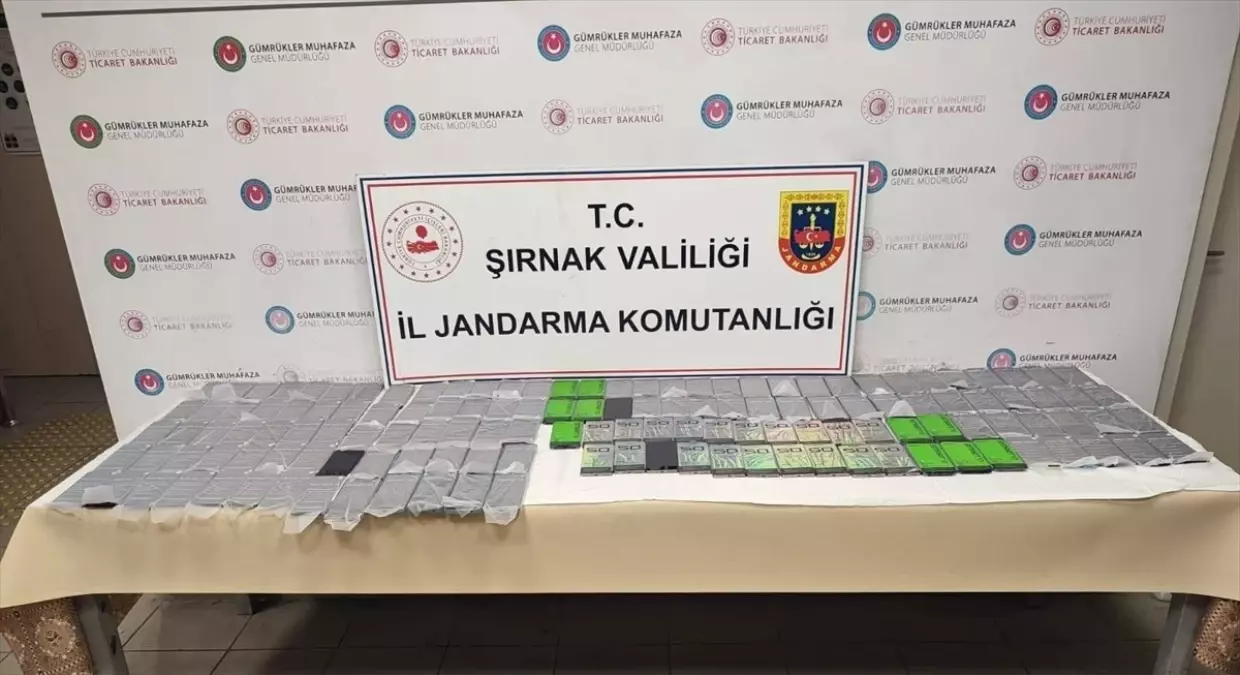 Şırnak'ta Kaçakçılık Operasyonları: 34 Kişi Gözaltında