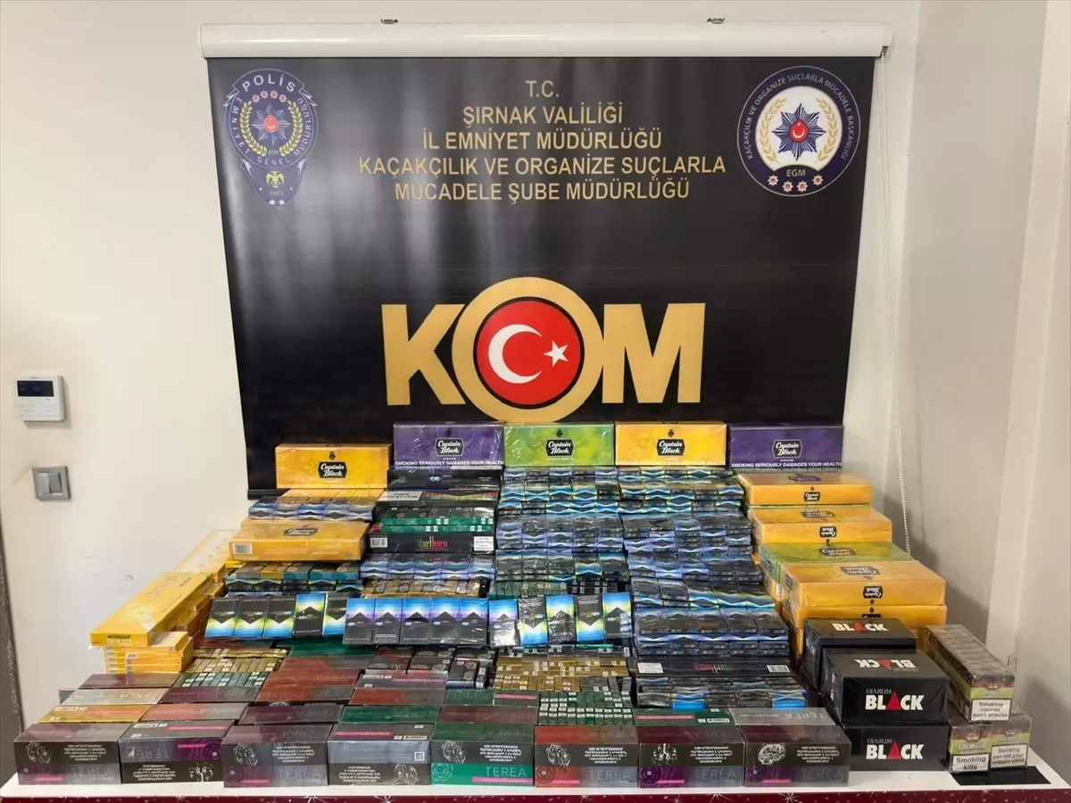 Şırnak'ta Kaçakçılık Operasyonları: 29 Gözaltı