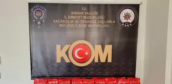 Şırnak'ta Kaçakçılık Operasyonu: 35 Gözaltı