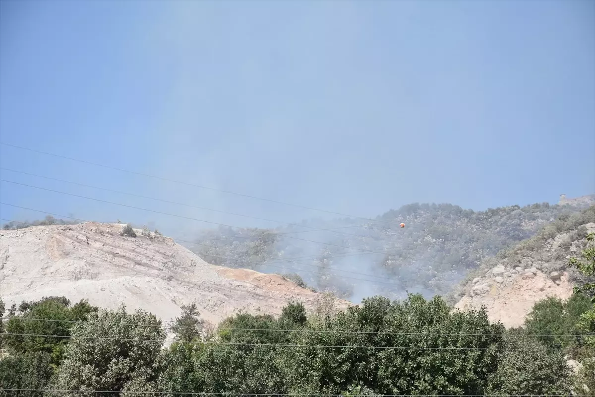 Şırnak'ta Orman Yangını Kontrol Altına Alındı