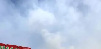 Şırnak'ta Orman Yangınına Havadan ve Karadan Müdahale