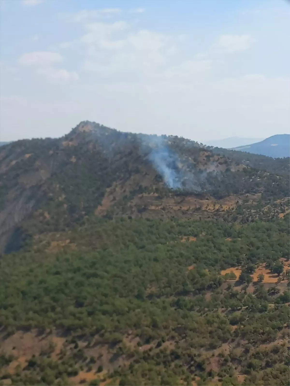 Şırnak'ta Orman Yangınına Hızlı Müdahale