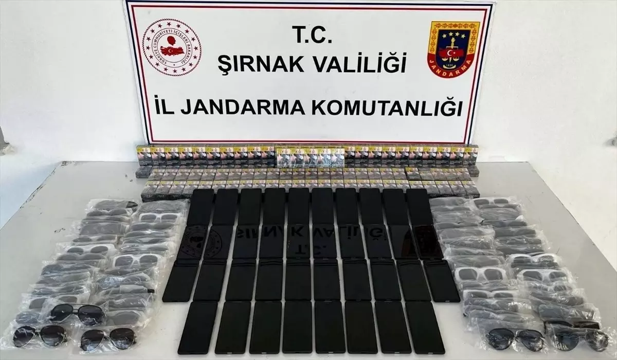 Şırnak'ta Uyuşturucu ve Kaçakçılık Operasyonları: 25 Gözaltı