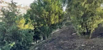 Şişli'de Ağaçlık Alanda Yangın