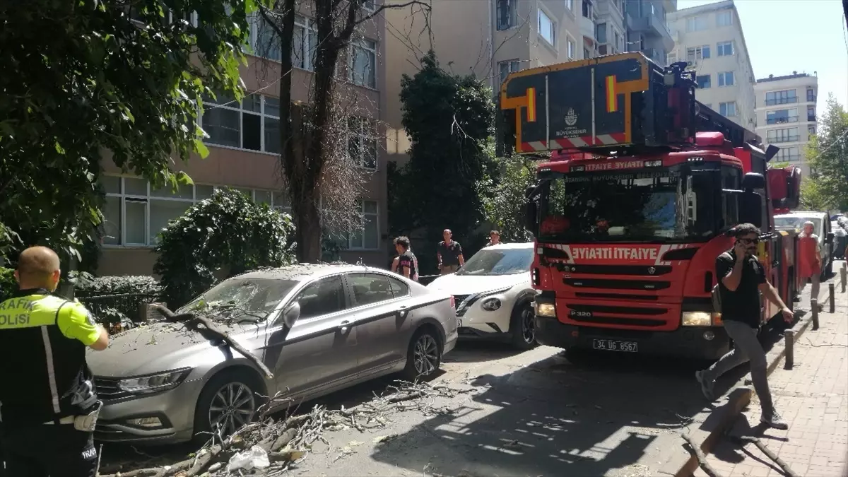 Şişli'de Ağaç Düşmesi Otomobili Hasarladı