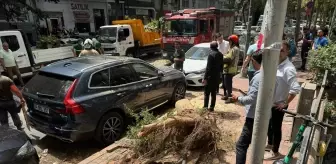 Şişli'de Ağaç Devrildi, İki Otomobil Zarar Gördü