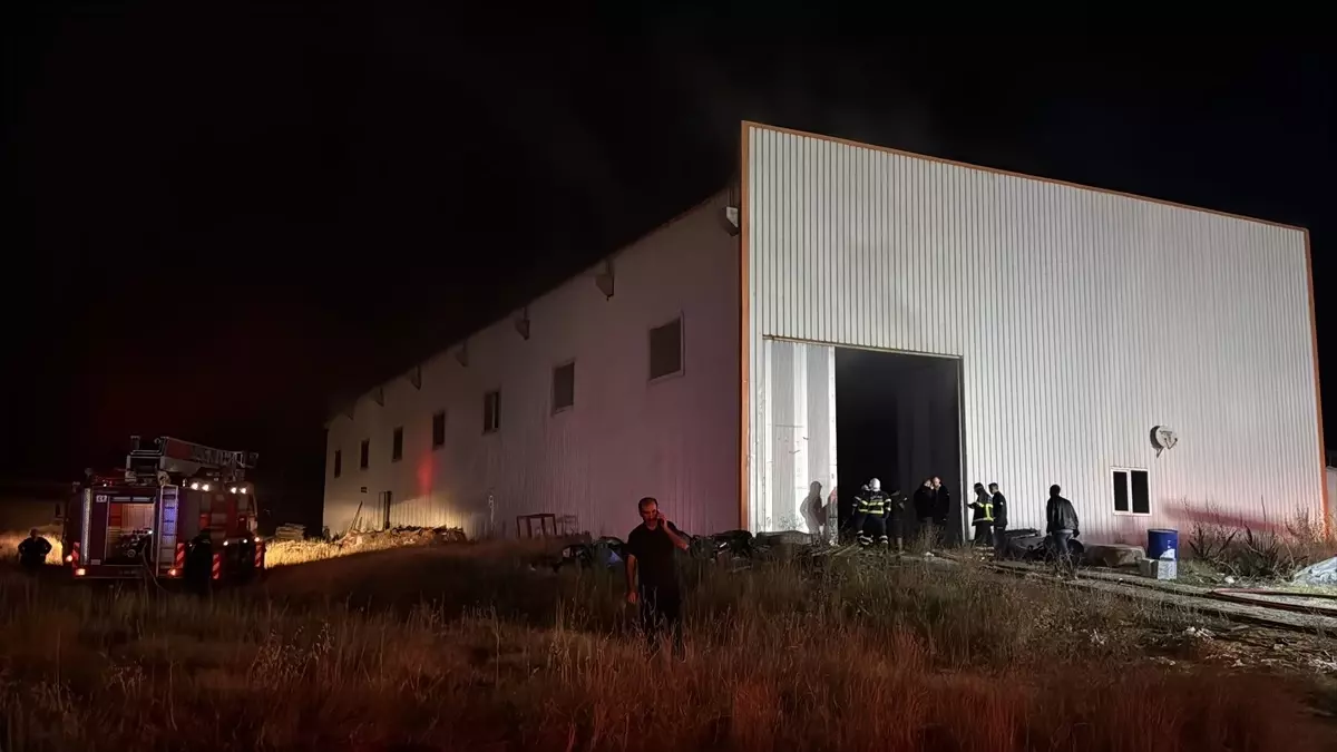 Sivas'ta Ahşap Üretim Fabrikasında Yangın Çıktı