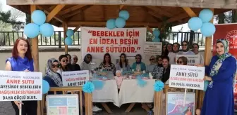 Sivas'ta Dünya Emzirme Haftası Etkinliği Düzenlendi