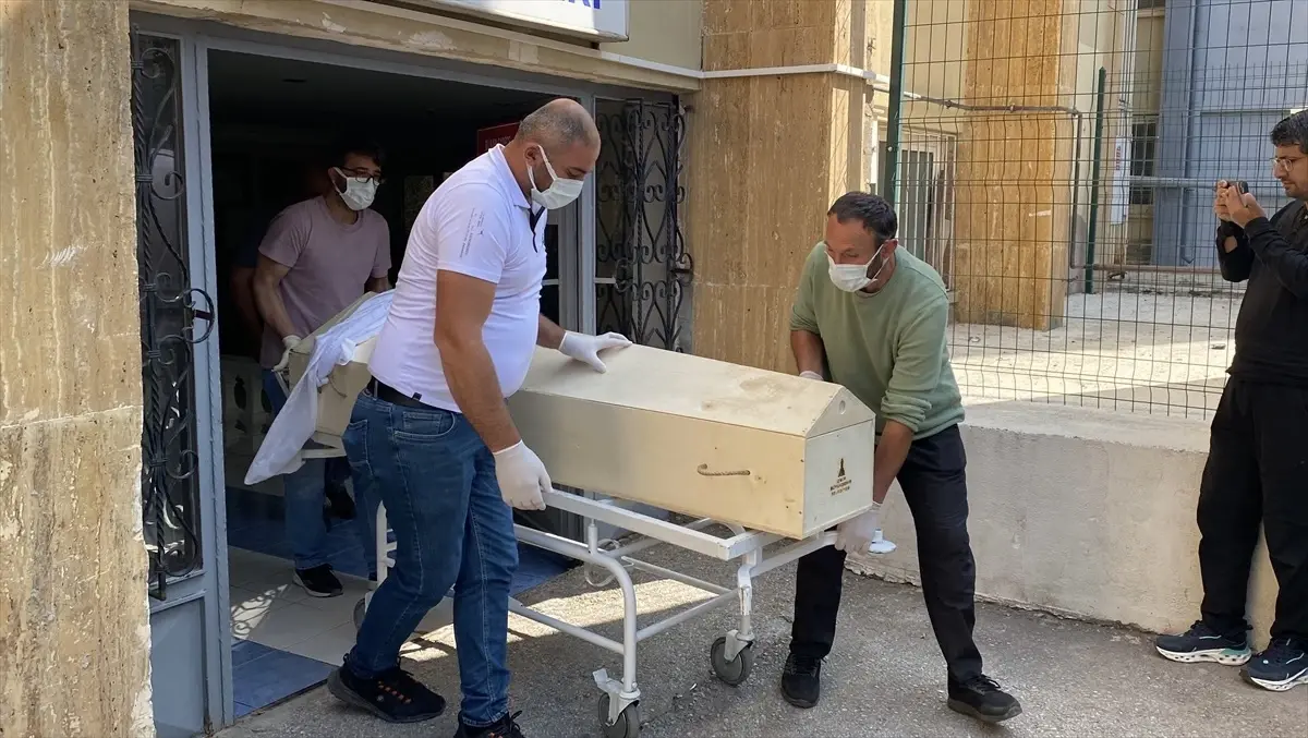 Sivas'ta Kırım Kongo Kanamalı Ateşi Şüphesiyle Bir Kişi Hayatını Kaybetti