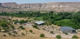 Sobesos Antik Kenti'nde Kazılar Yaygınlaştırılacak