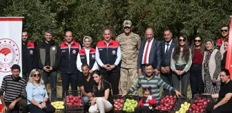 Kars'ın Halıkışlak Köyü'nde Yüksek Verimli Elma Hasadı
