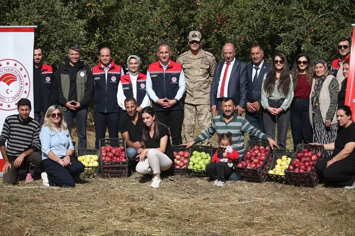 Kars'ın Halıkışlak Köyü'nde Yüksek Verimli Elma Hasadı