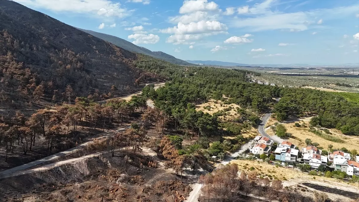 Öğrenciler Orman Yangınlarını İnceledi