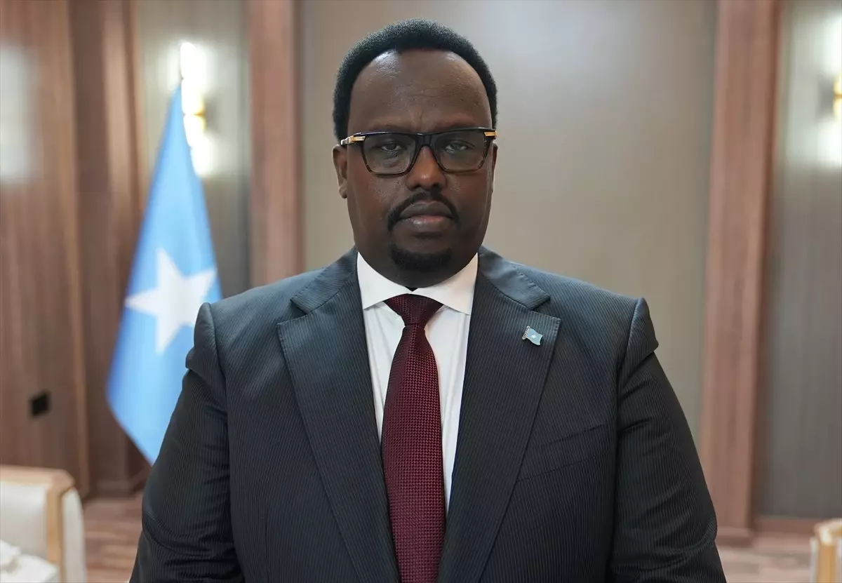 Somali Başbakan Yardımcısı Jama: 'Somali son 10 yıldır hiç bugünkü kadar güvenli olmadı'