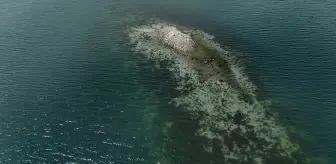 Sapanca Gölü'nde Su Seviyesi Kritik Düzeye Geriledi