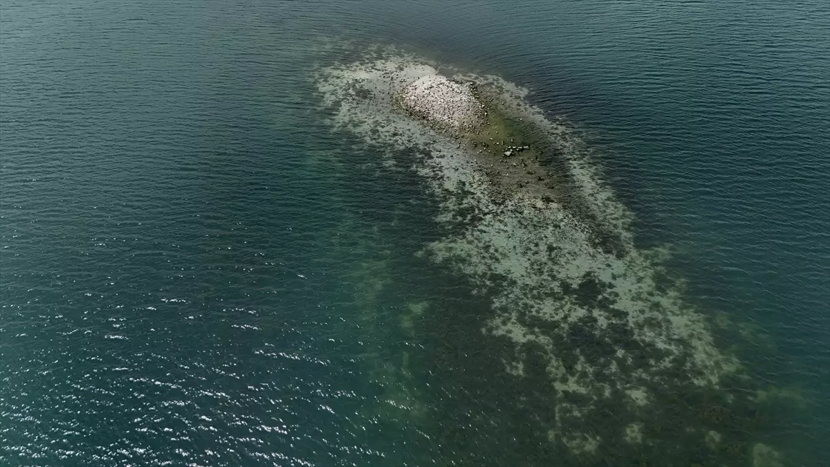 Sapanca Gölü'nde Su Seviyesi Kritik Düzeye Geriledi