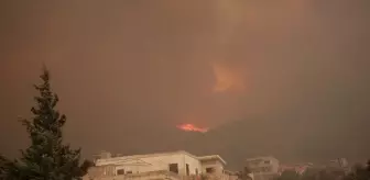 Suriye'deki Orman Yangınlarına Yoğun Müdahale