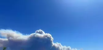 Suriye'de Lazkiye Bölgesinde Orman Yangınları Çıkıyor