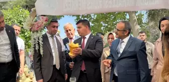 Suruç'ta Hayat Boyu Öğrenme Haftası Etkinlikleri Düzenlendi