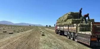 Talas Belediyesi'nden Hayvancılığa Destek Projesi