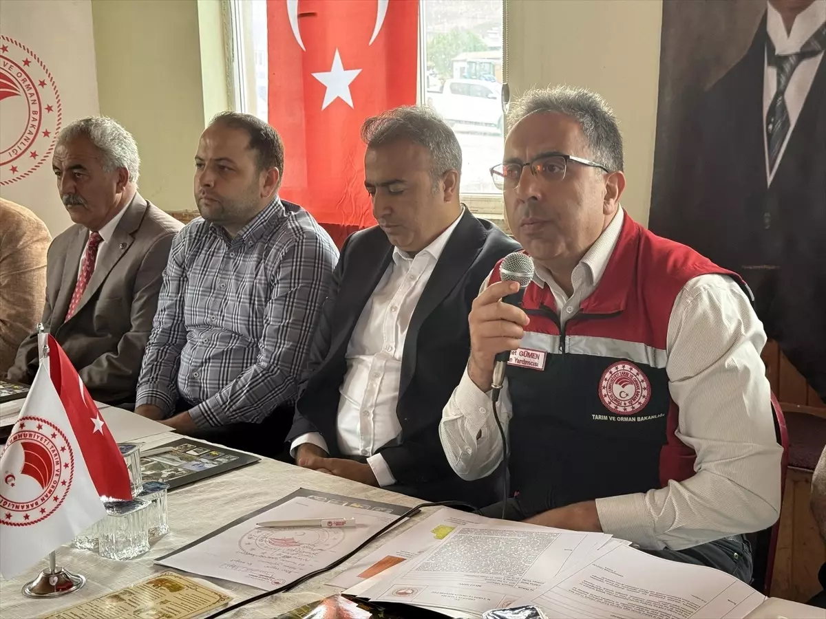 Ardahan'da Şap Hastalığına Karşı Aşılamalar Başlıyor
