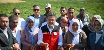 Tarım ve Orman Bakanı Yumaklı, EKÜY Projesi ile Pestisit Kullanımını Azaltmayı Hedefliyor