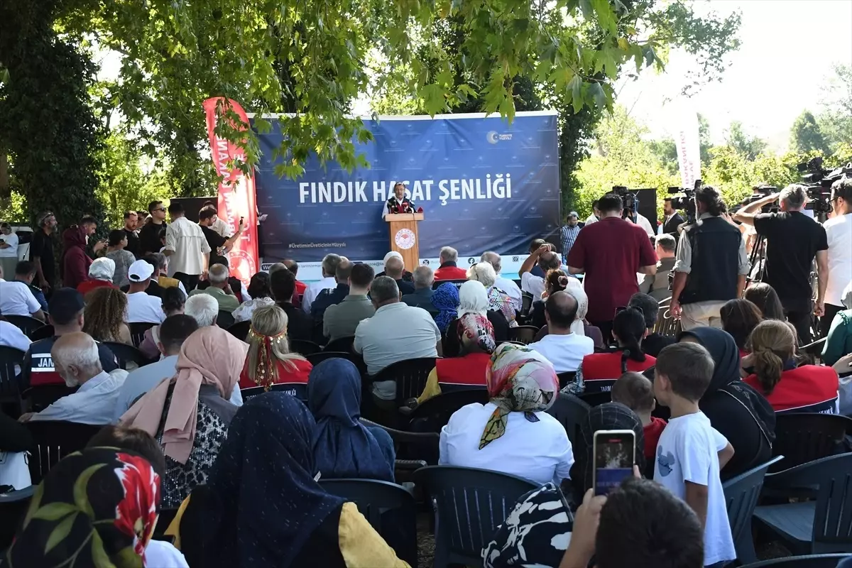 Fındıktaki Zirai Don Zararının Tazminatı 2,3 Milyar Lira