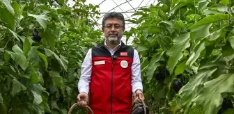 Tarım ve Orman Bakanı Yumaklı İsrail tohumu iddialarına yanıt verdi Açıklaması