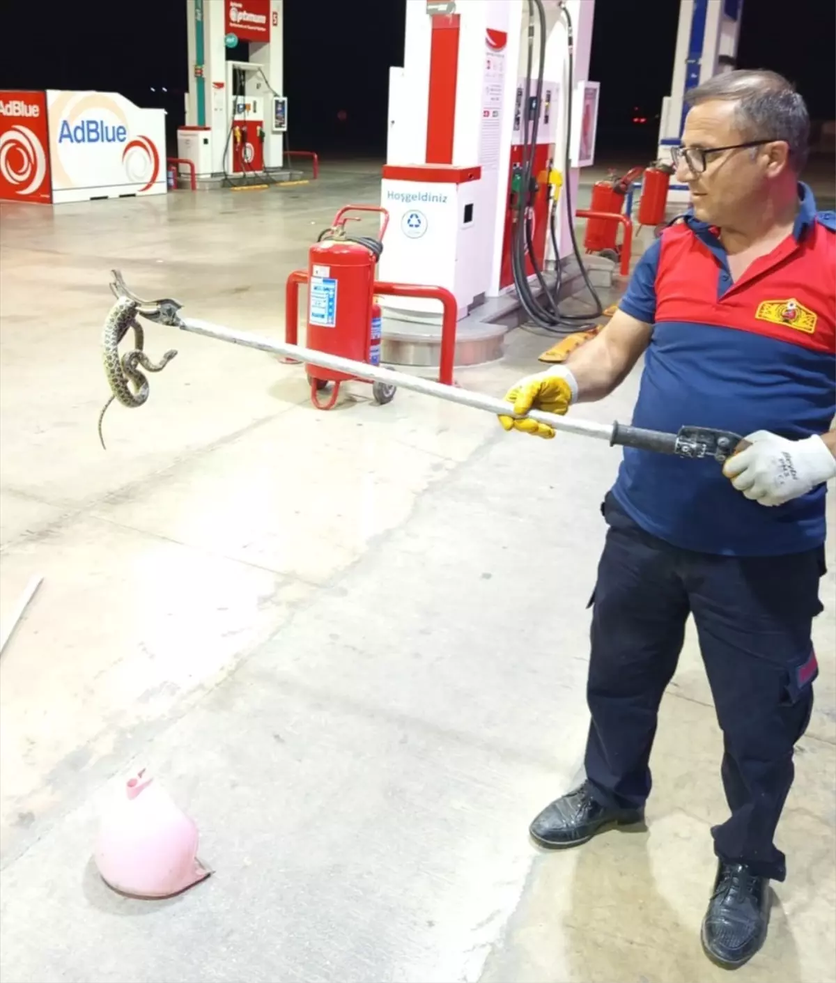 Taşova'da Akaryakıt İstasyonuna Giren Yılan Doğaya Salındı