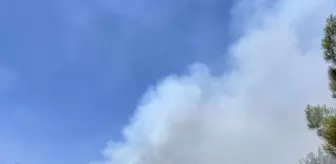 Denizli'de Orman Yangını Kontrol Altına Alındı