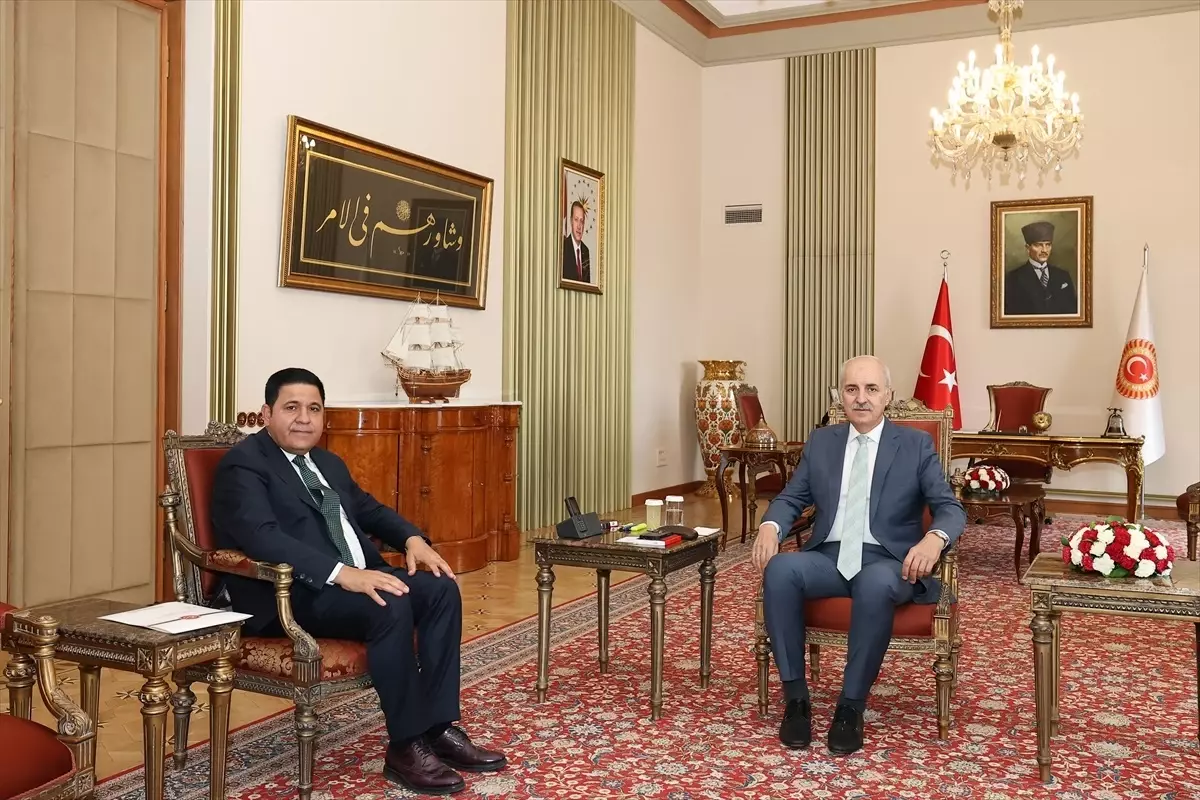 TBMM Başkanı Kurtulmuş, Yeni Yol Partisi Grup Başkanı Kaya'yı kabul etti