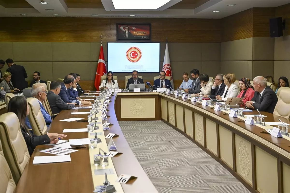 Engelli Bireylerin Sorunları TBMM'de Görüşüldü