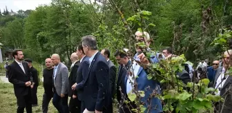 TBMM Komisyonu Düzce ve Sakarya'da Zirai Don Hasarını İnceledi