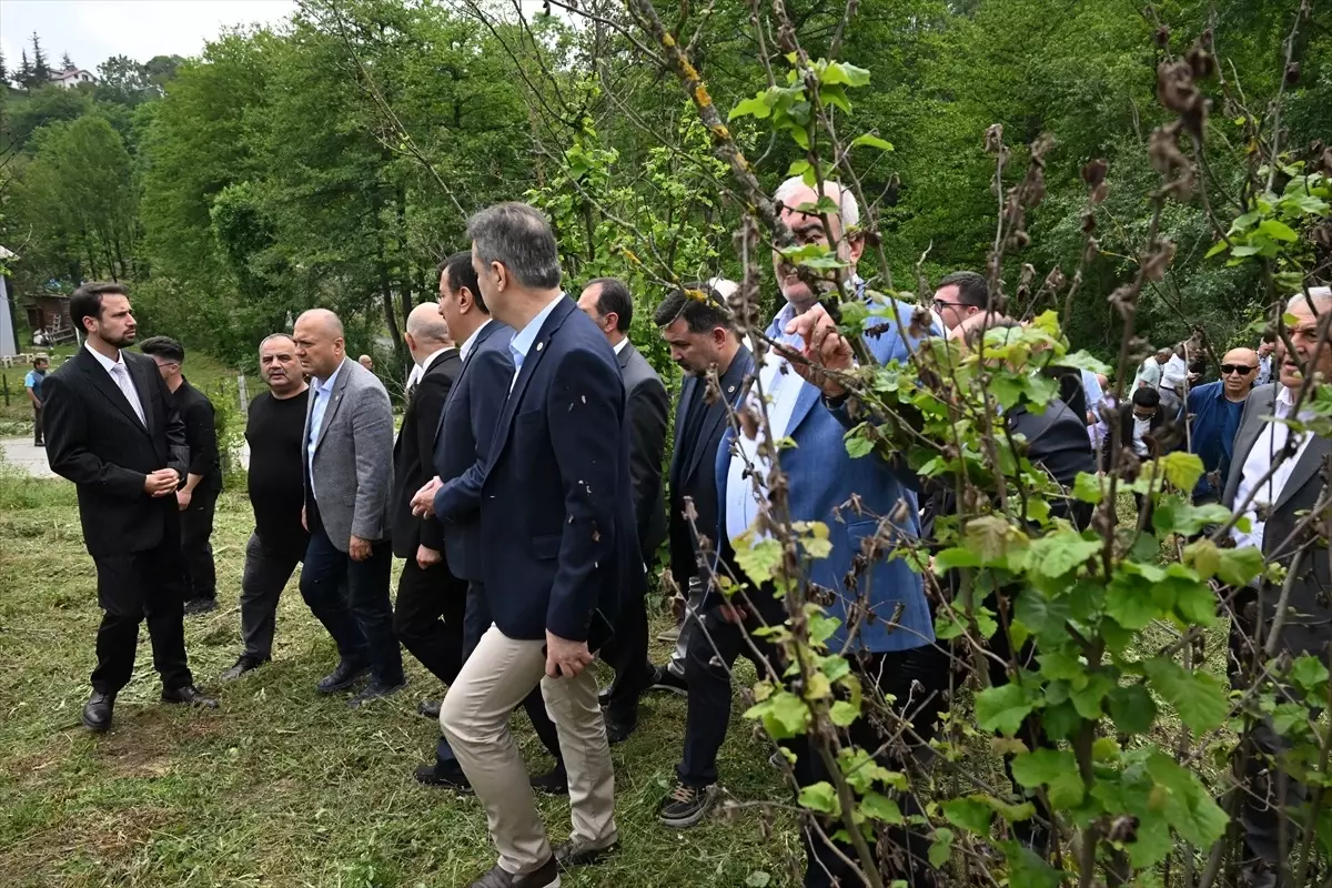 TBMM Komisyonu Düzce ve Sakarya'da Zirai Don Hasarını İnceledi
