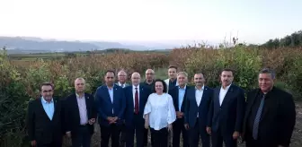 TBMM Zirai Don Olayını Araştırma Komisyonu Mersin'de İncelemede Bulundu