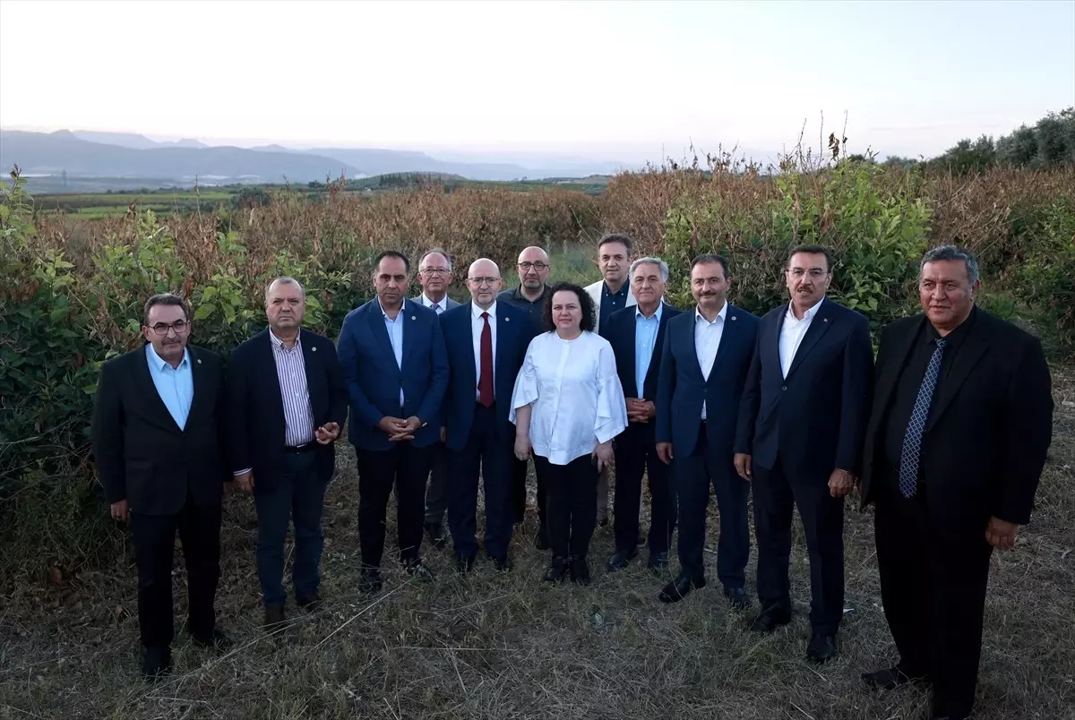 TBMM Zirai Don Olayını Araştırma Komisyonu Mersin'de İncelemede Bulundu