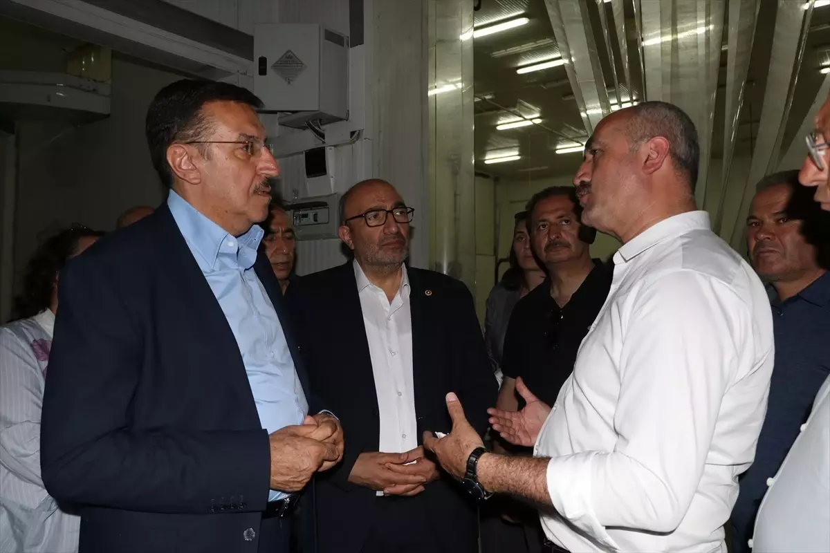 TBMM Zirai Don Olayını Araştırma Komisyonu üyeleri, Eskişehir'deki kiraz bahçelerini inceledi
